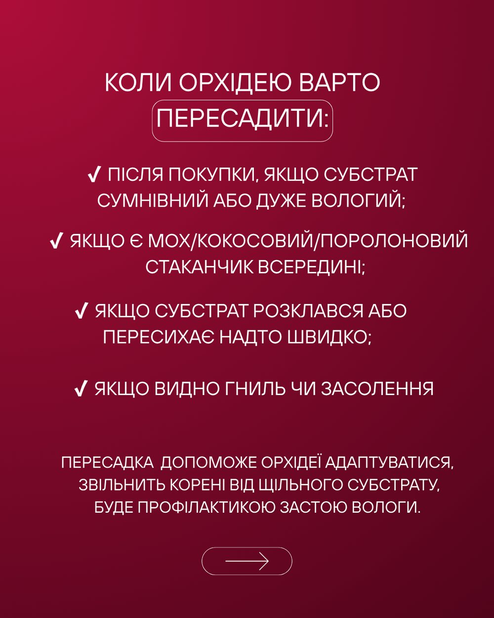 Коли орхідею варто пересаджувати