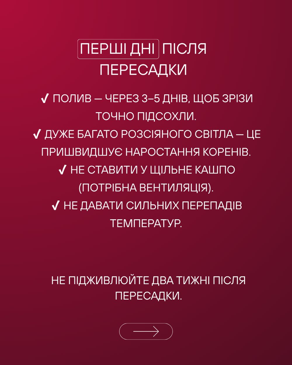 Поширені помилки при пересадці орхідей