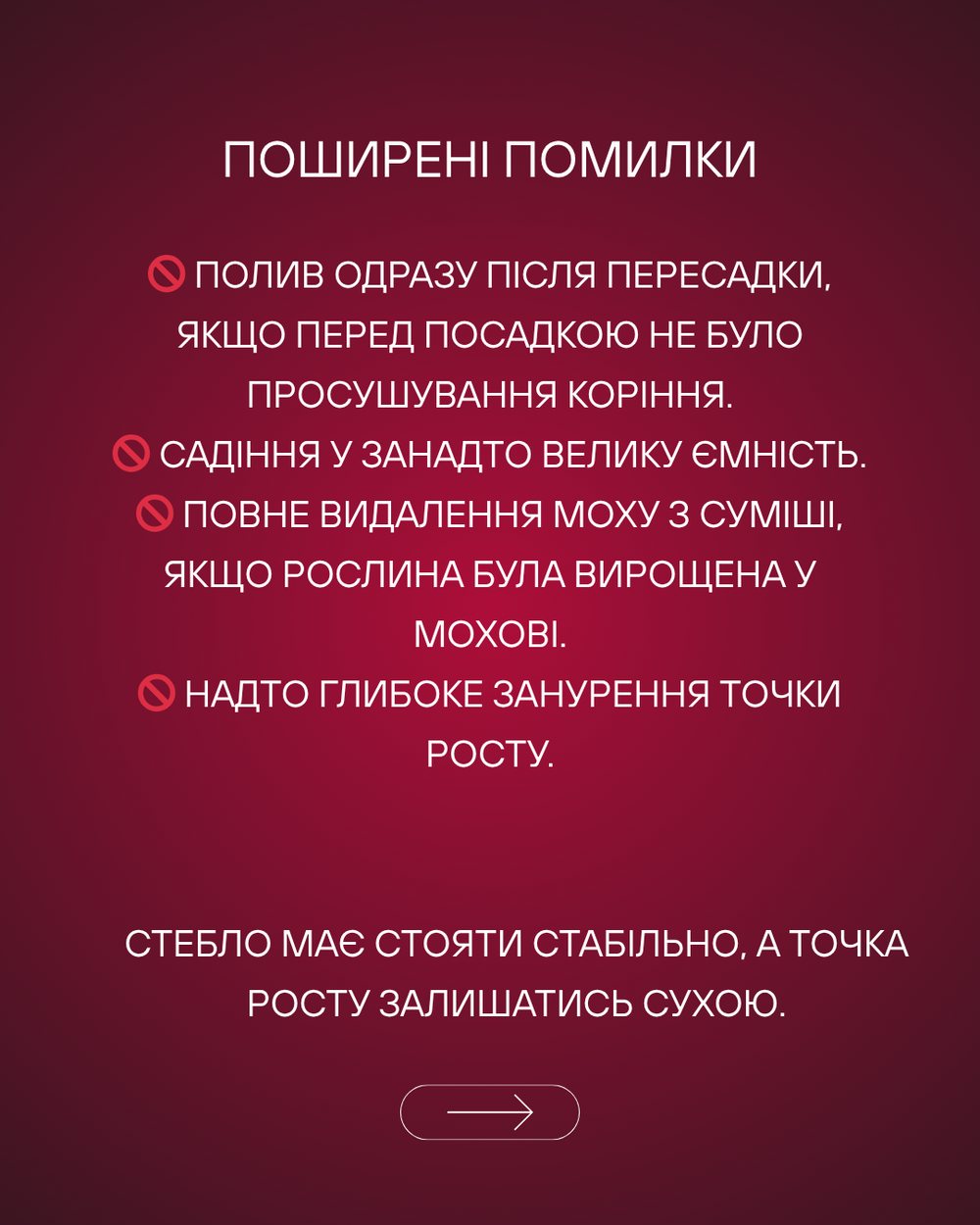 Догляд за орхідеєю після пересадки